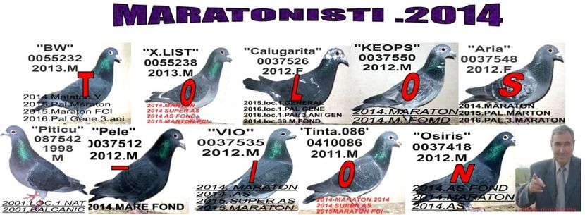 1+2014 - 2-2016 MARATONISTI