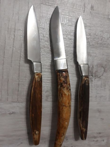  - Cutite-Bricege aprilie 2019