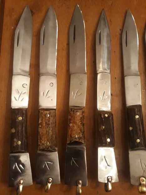  - Cutite-Bricege aprilie 2019