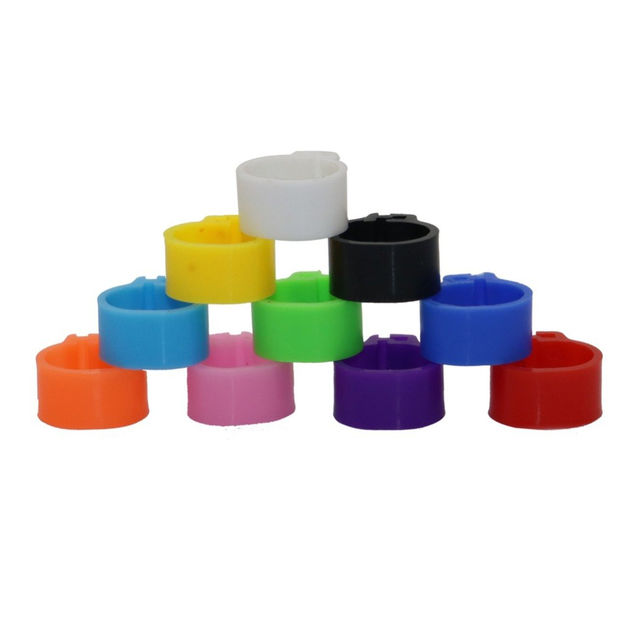  - CLEME Porumbei DE VANZARE