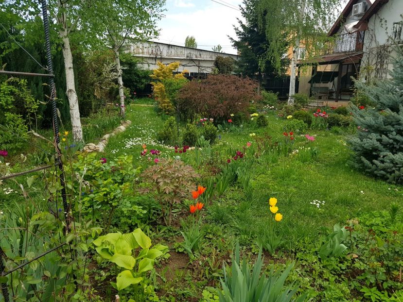  - 2019 Gradina