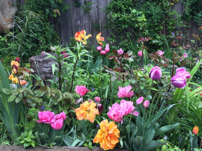 86E947C0-DCF1-4B28-A307-D22A474EFA24 - Aprilie