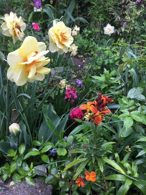 C630FA60-9BA7-40C8-9EA3-541309E160E4 - Aprilie