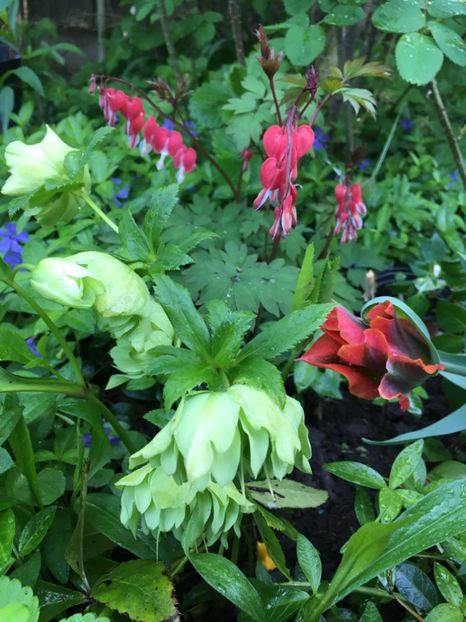 56A3C122-D800-4A45-92A9-7F3109418569 - Aprilie