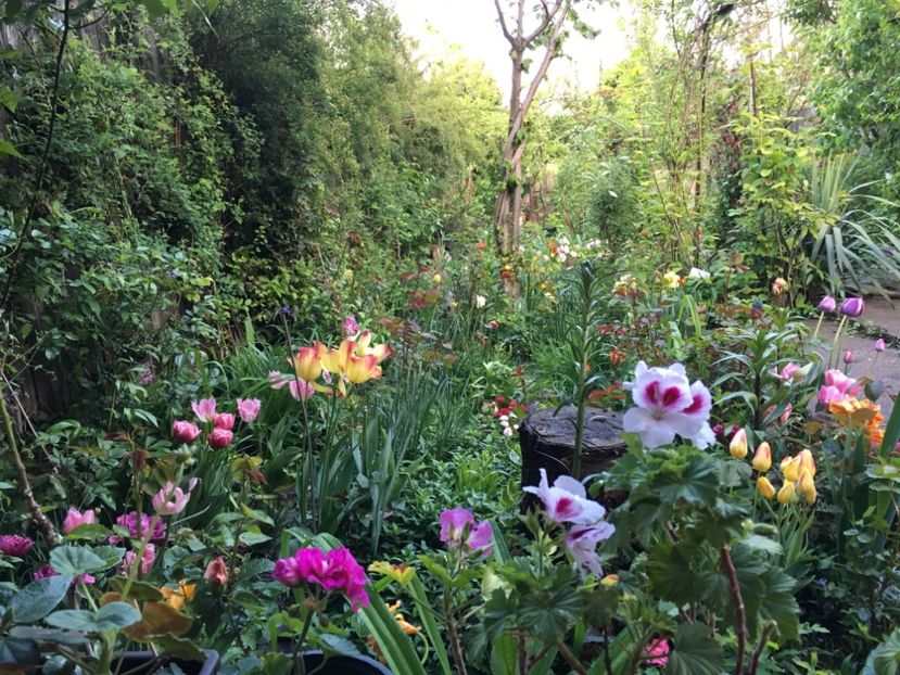 B010A1D6-A928-466A-8DA4-5B8239B4A91A - Aprilie