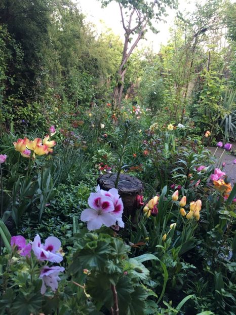 D3732C9E-1393-4160-AEF1-1C987505A6AC - 2019