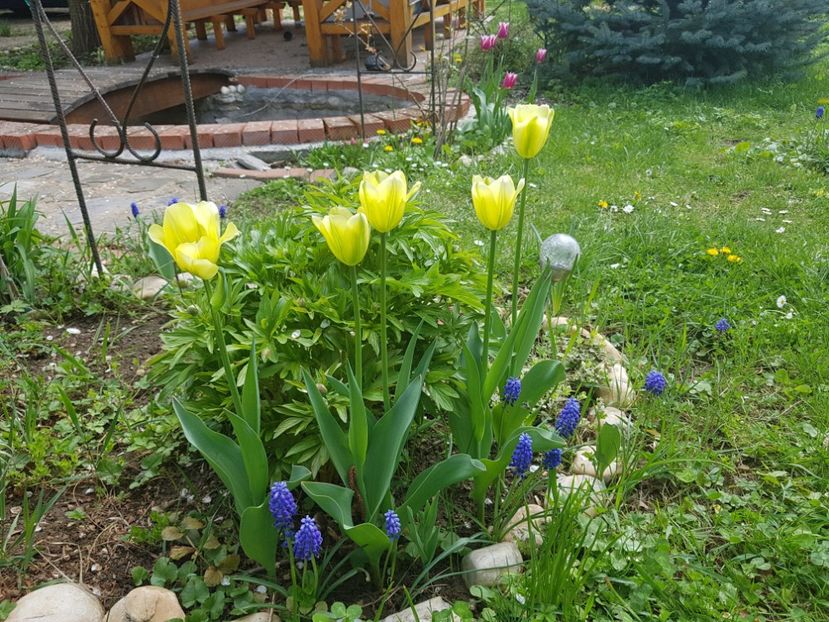 Spring green - 2019 Aprilie