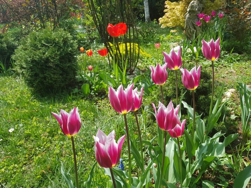 Ballade - 2019 Aprilie