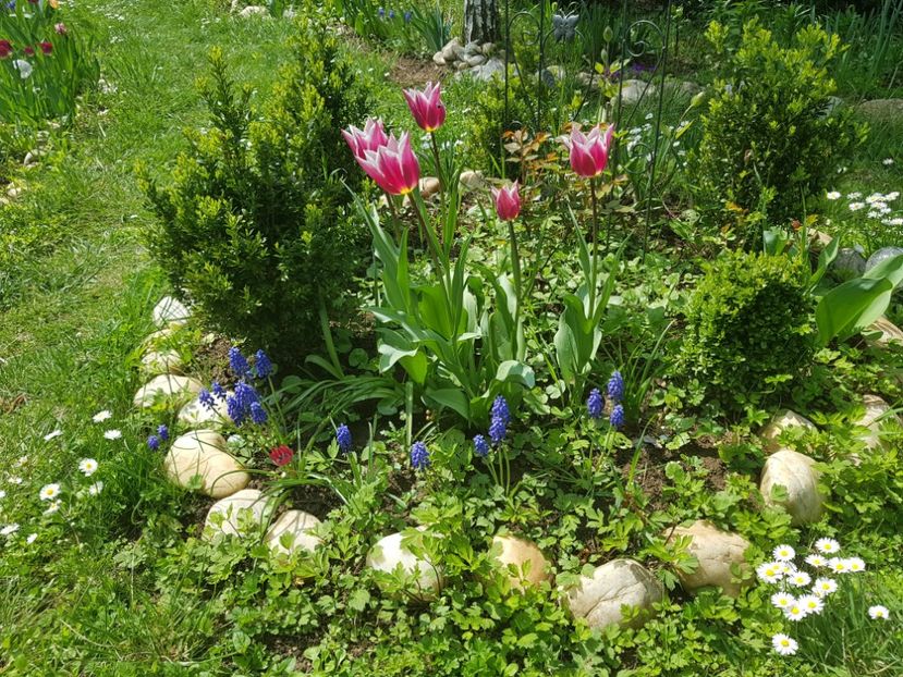 Ballade - 2019 Aprilie