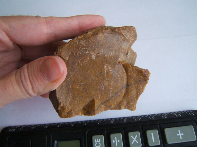 Jasp maroniu - Cristale la schimb sau la troc