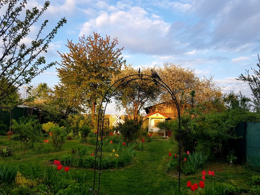  - 2019 Idilic garden