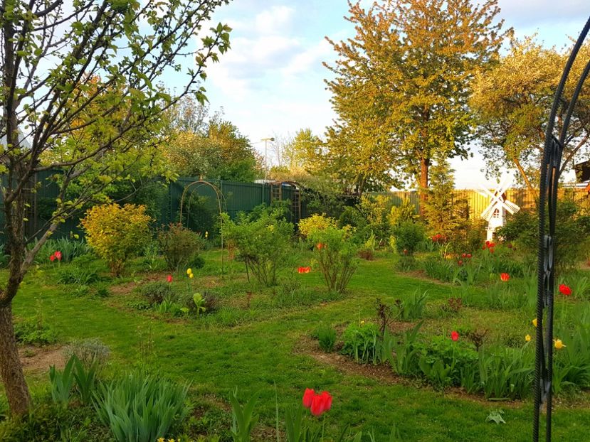  - 2019 Idilic garden