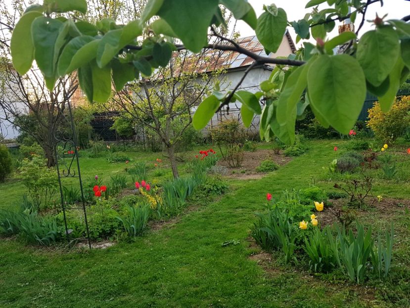  - 2019 Idilic garden