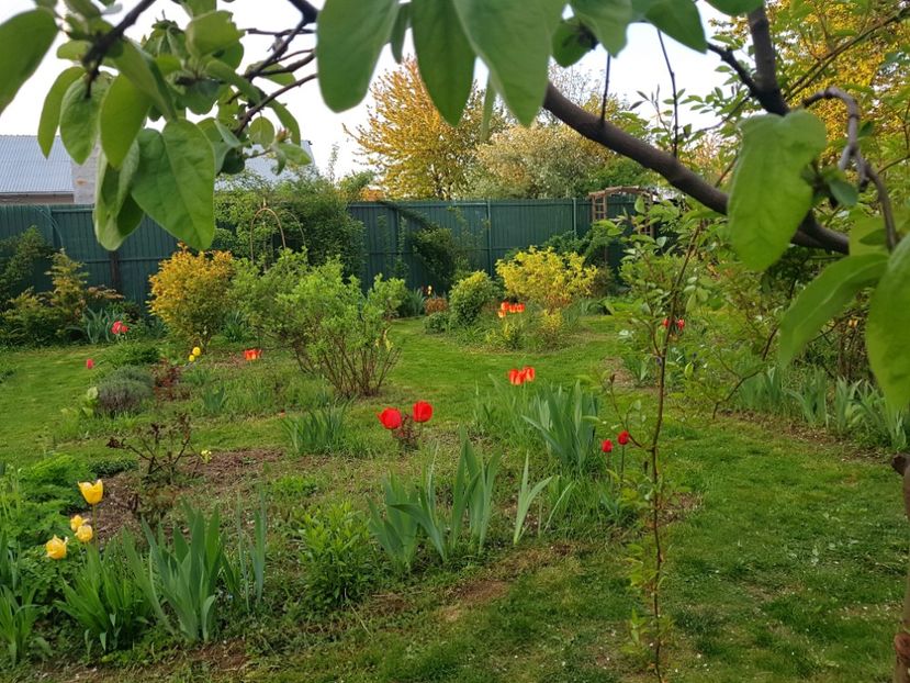  - 2019 Idilic garden