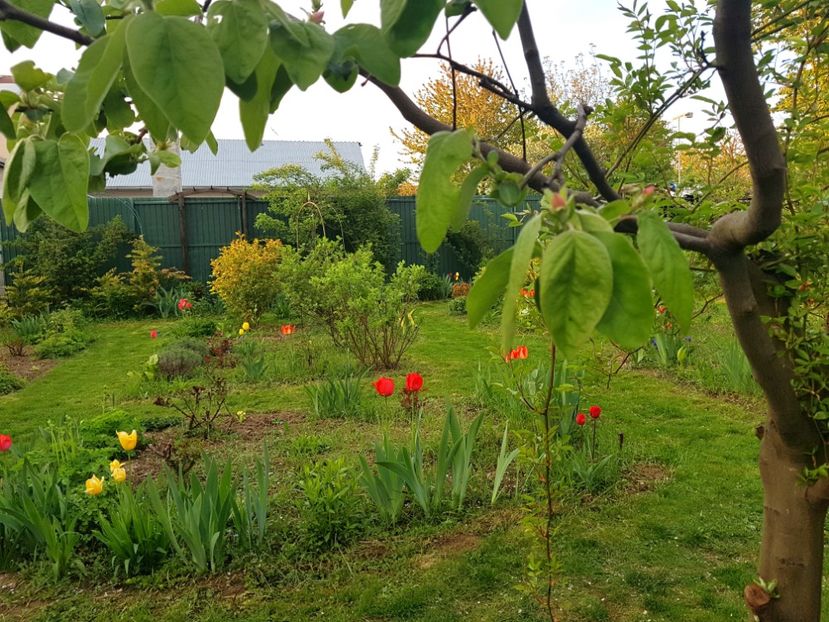  - 2019 Idilic garden