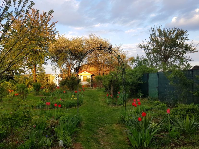  - 2019 Idilic garden
