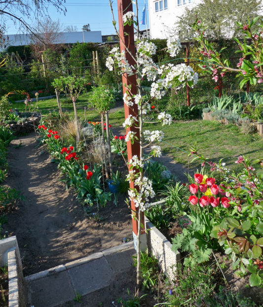  - 2019 - 01 - Primavara