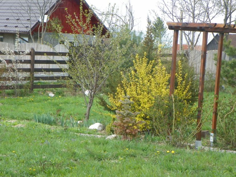 20 apr (74) - z-Dobarland 2019