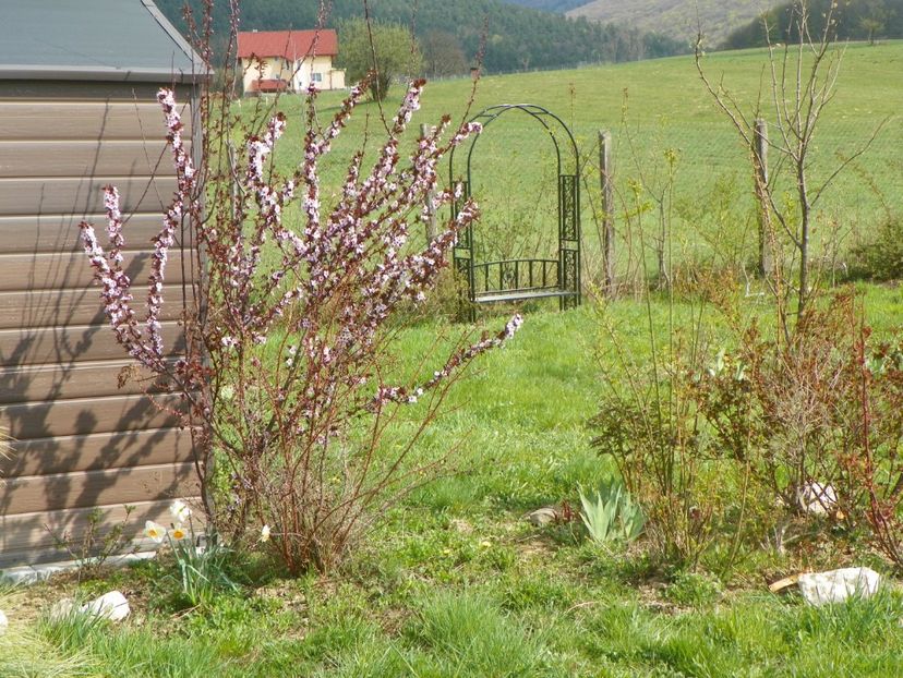 20 apr (96) - z-Dobarland 2019