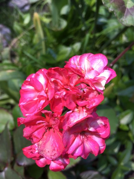 43893BD5-3057-4756-ADD5-0D1BF80E0249 - 2019