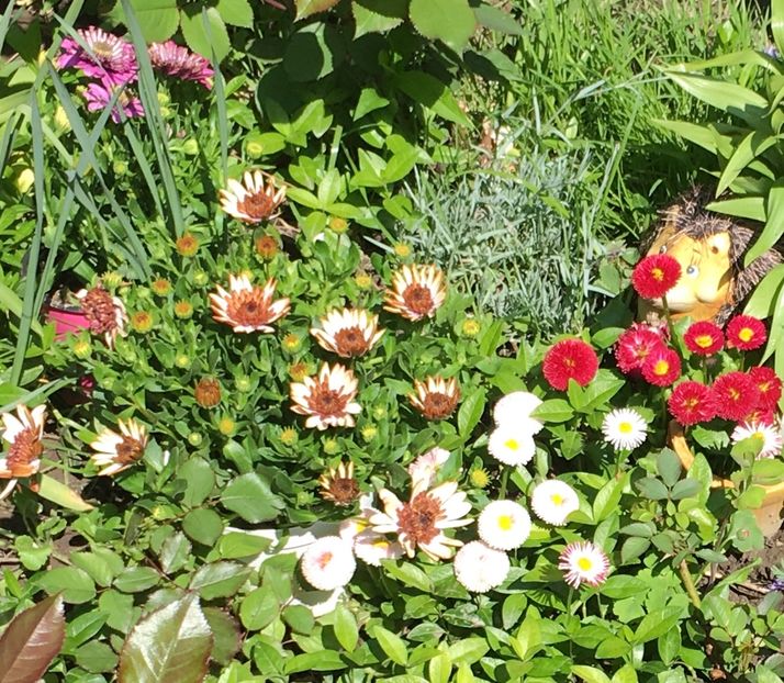 60896122-3B21-4853-B2C9-443B41807F6D - Aprilie