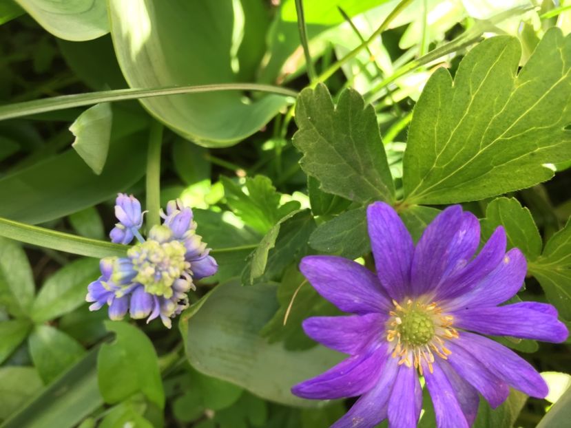 52F8AAD1-1E77-4A4C-A722-E6E09BE8A086 - Aprilie