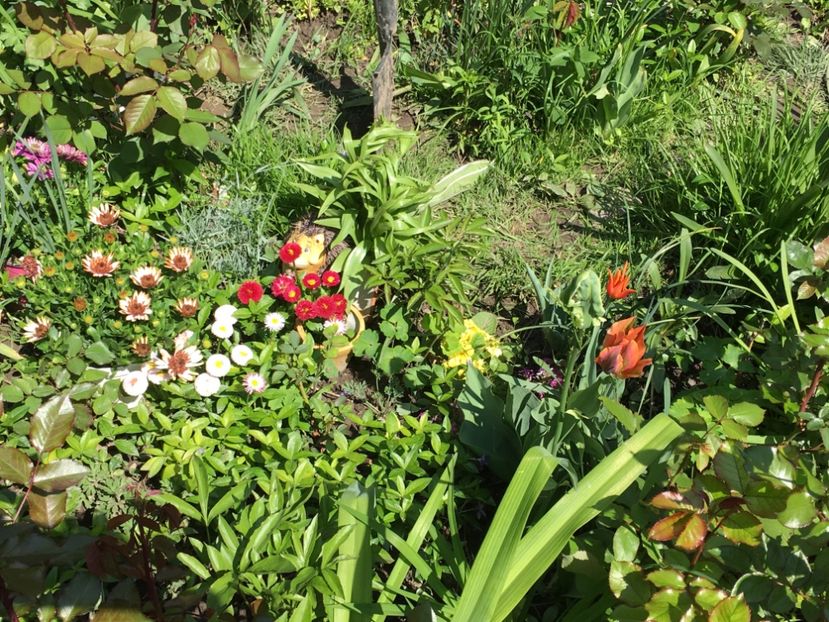 1E948524-EFC8-4C8A-A69D-77C584022290 - Aprilie