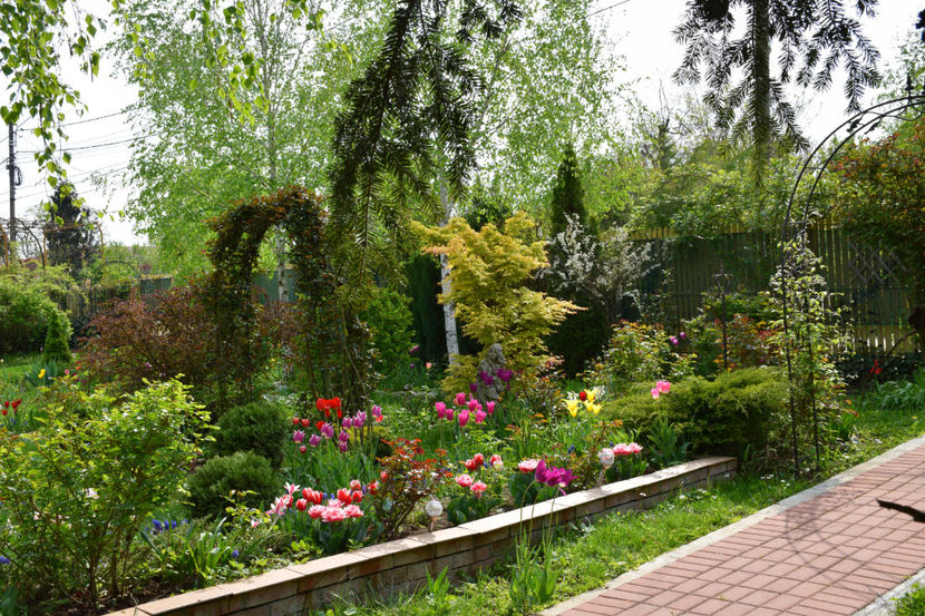  - 2019 Gradina