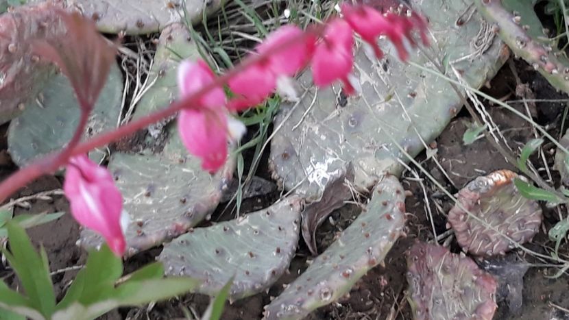  - Primavara 2019-2022