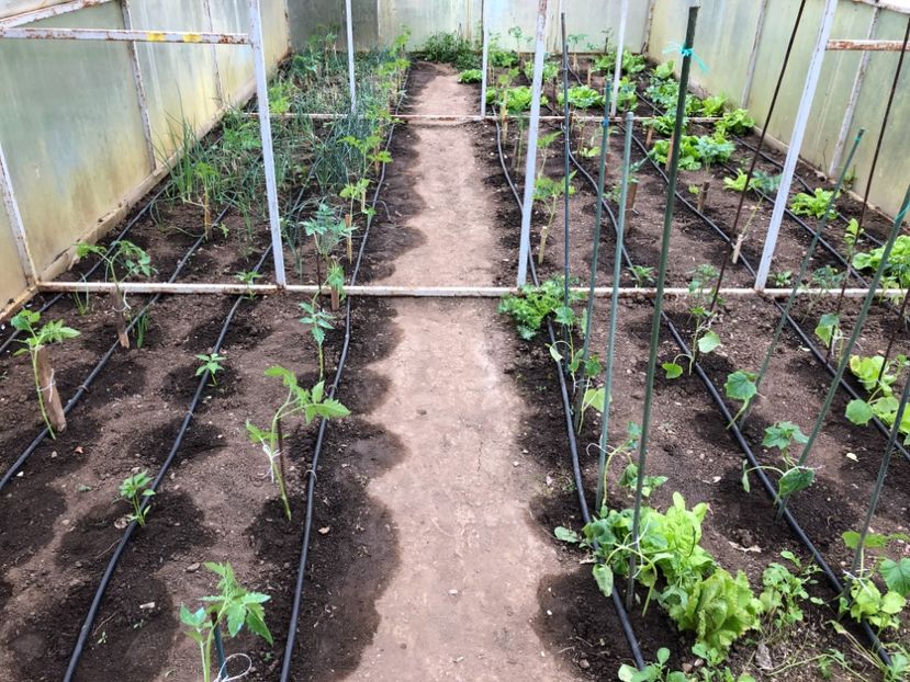 21.04.2019 - 0019 SERA construita in 2012