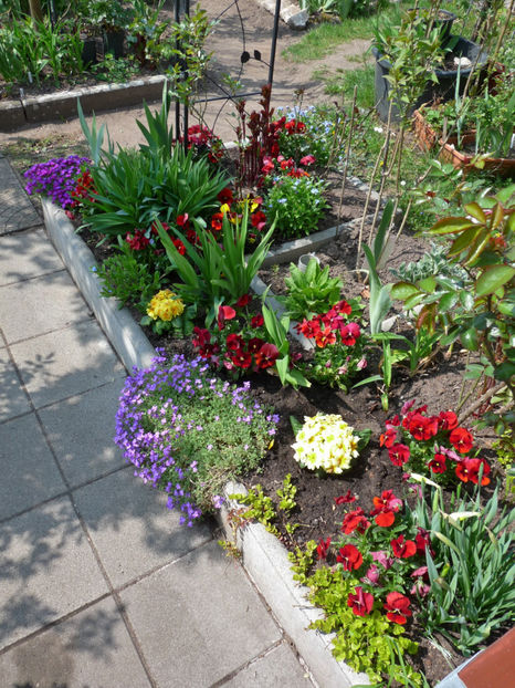  - 2019 - 01 - Primavara