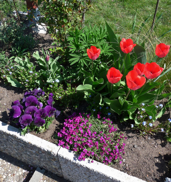  - 2019 - 01 - Primavara