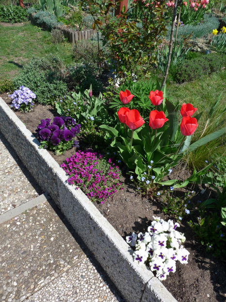  - 2019 - 01 - Primavara