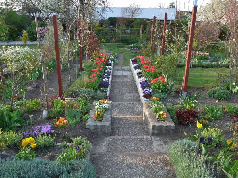  - 2019 - 01 - Primavara