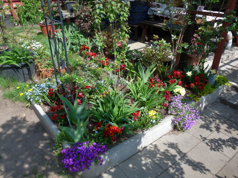  - 2019 - 01 - Primavara