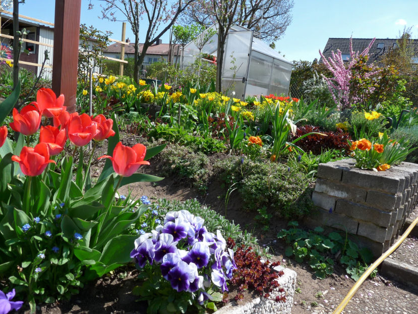  - 2019 - 01 - Primavara