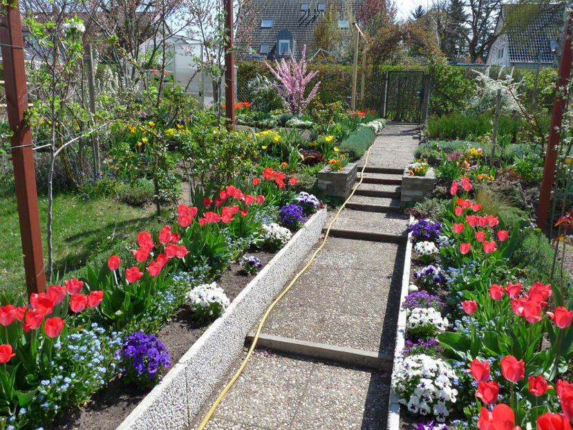  - 2019 - 01 - Primavara