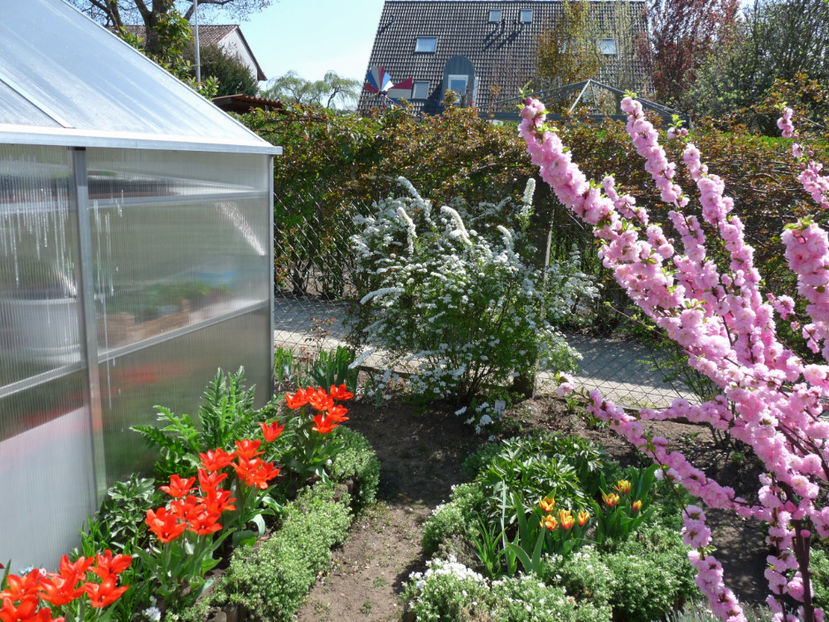  - 2019 - 01 - Primavara