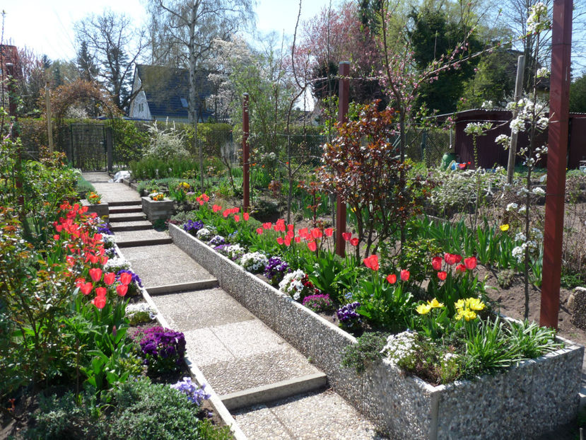  - 2019 - 01 - Primavara