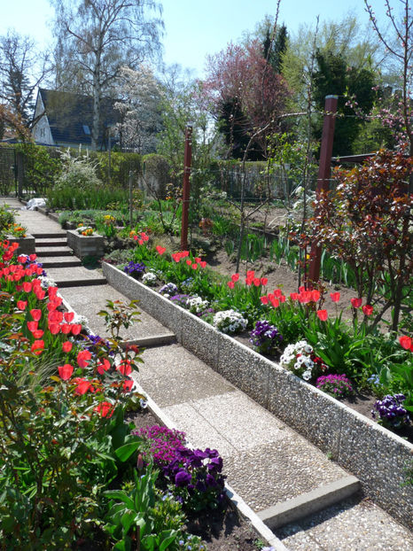  - 2019 - 01 - Primavara