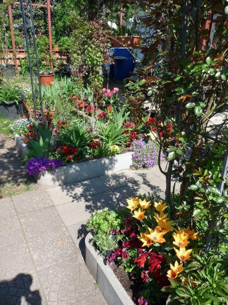  - 2019 - 01 - Primavara