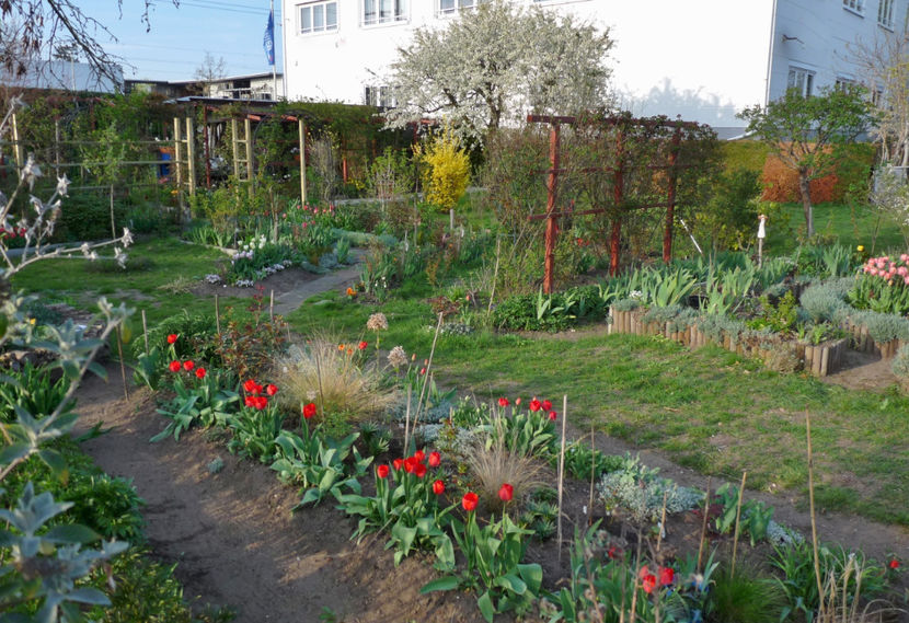  - 2019 - 01 - Primavara