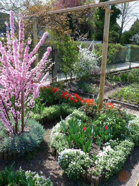  - 2019 - 01 - Primavara