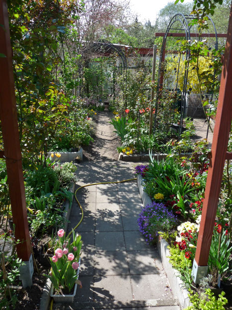  - 2019 - 01 - Primavara