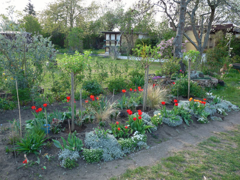  - 2019 - 01 - Primavara