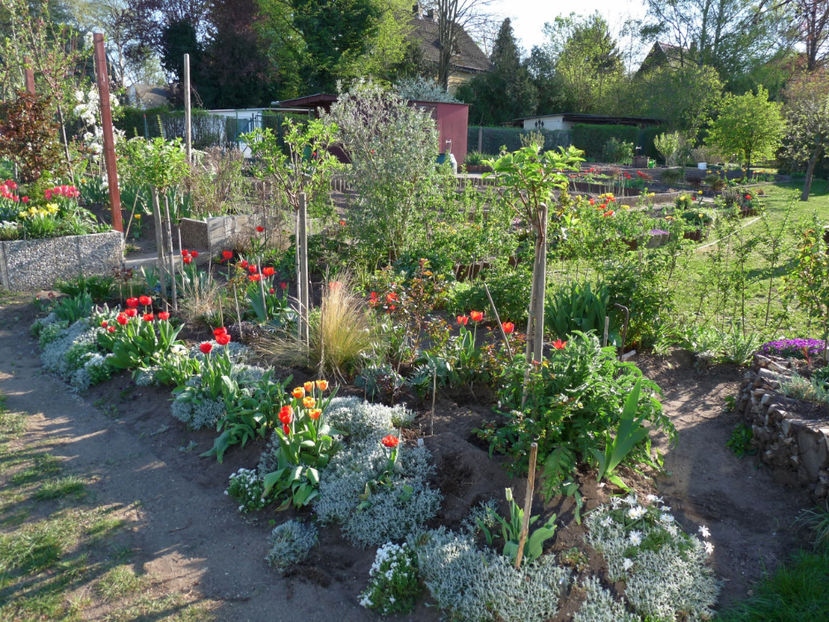  - 2019 - 01 - Primavara