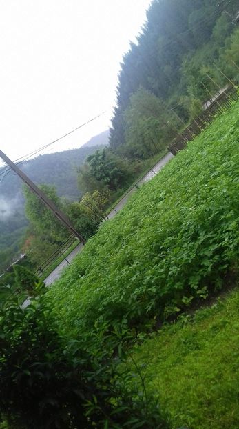 received_1696827943765244 - Ex4 La bunici în vacanță