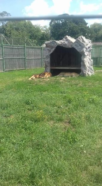  - Gradina zoologica Oradea