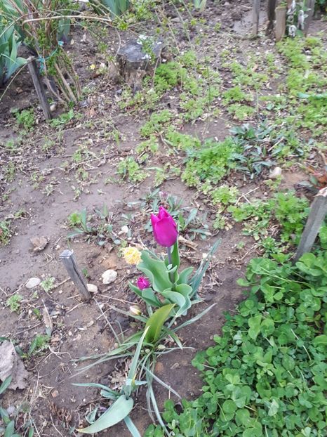  - Aprilie 2019