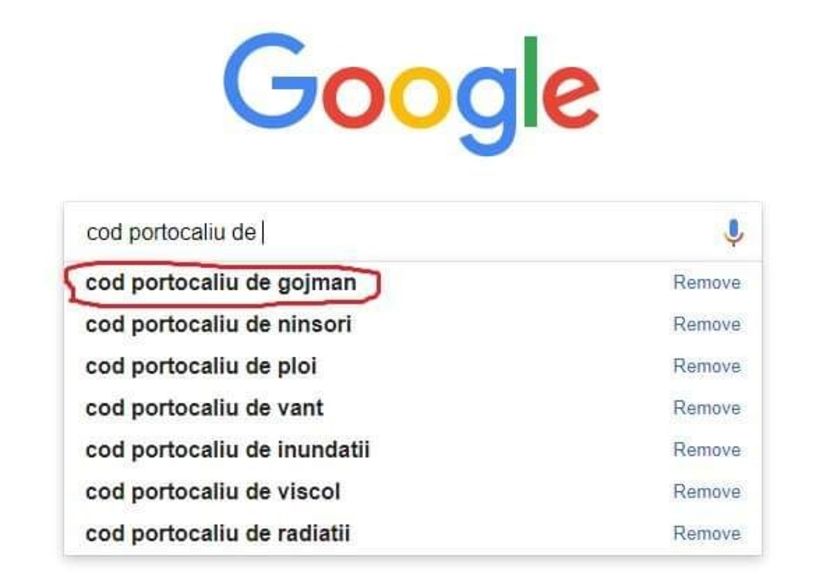  - Sezonul 5 insula iubirii - memes 1